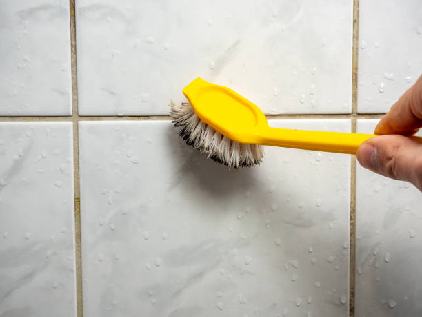 Best Water Damage Restoration  in Brooktrails, CA