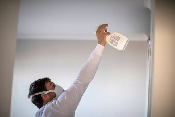 Best Same-Day Mold Removal  in Brooktrails, CA