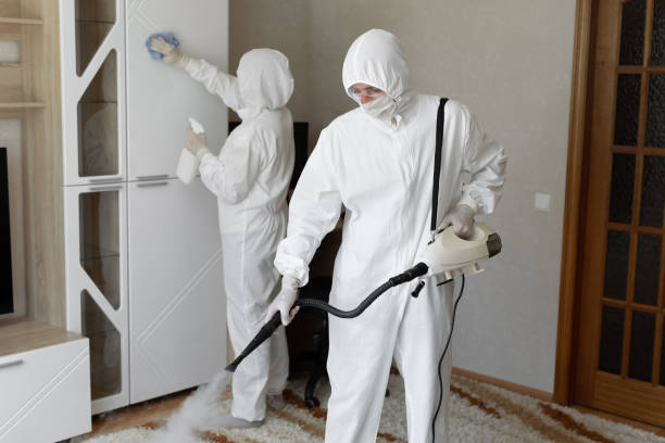Attic Mold Removal in Brooktrails, CA